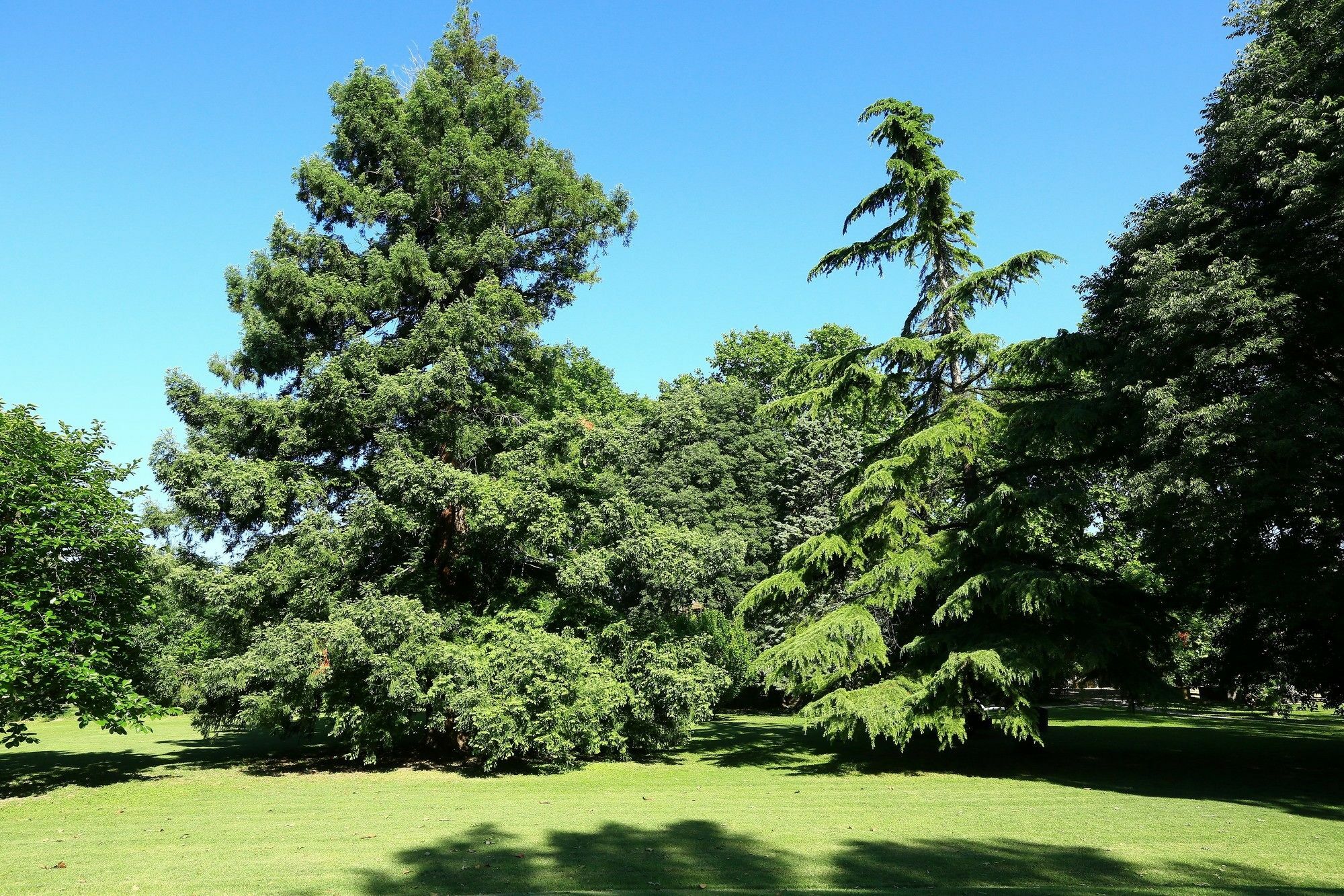 Les Du Domaine De Rhodes